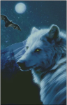 (image for) In the Night